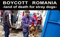 Καταγγελία-ΣΟΚ! Ετοιμάζουν στην Ελλάδα σφαγή αδέσποτων αντίστοιχη με της Ρουμανίας
