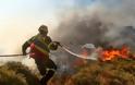 Κρήτη: Επί ποδός η Πυροσβεστική - Οι νοτιάδες ενισχύουν τη φωτιά
