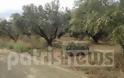 Ηλεία: Το χαλάζι κατέστρεψε ελαιόδεντρα και... παραγωγούς στην Αρχαία Ολυμπία
