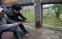Βίντεο: Παίζουν διελκυστίνδα με τίγρη σε αιχμαλωσία