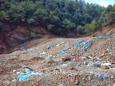 Πρωτοφανής οικολογική κατασ﻿τροφή επιχειρείται στην Ηλεία - Φωτογραφία 3