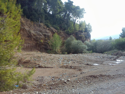 Πρωτοφανής οικολογική κατασ﻿τροφή επιχειρείται στην Ηλεία - Φωτογραφία 5