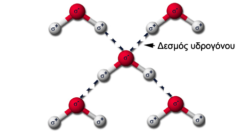 Για πρώτη φορά ορατός ο δεσμός του υδρογόνου - Φωτογραφία 2