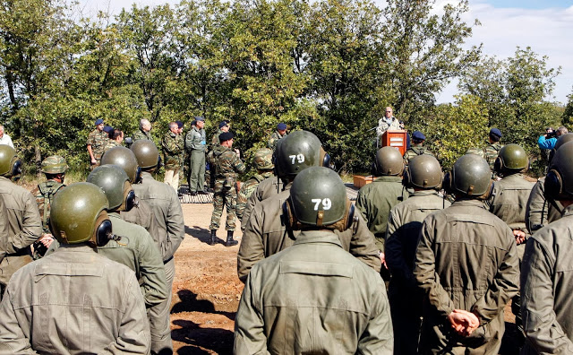 Φωτογραφίες από την τελική φάση της Άσκησης «Παρμενίων 2013» στο Νομό του Έβρου - Φωτογραφία 12