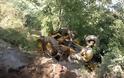 Πάτρα: Παραλίγο τραγωδία στο Σαραβάλι - Ανετράπη σκαπτικό μηχάνημα - Καλά στην υγεία του ο οδηγός - Δείτε φωτο