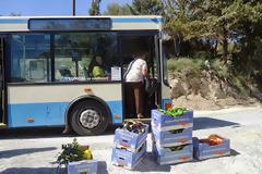 Πάνω από 12 τόνους κηπευτικά έβγαλε ο Λαχανόκηπος του Δήμου στο Ηράκλειο