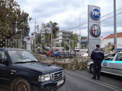 Δέντρο έκοψε στη μέση το δρόμο στα Χανιά - Φωτογραφία 3