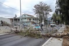 Δέντρο έκοψε στη μέση το δρόμο στα Χανιά