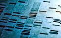 Ερευνητές δημιουργούν κώδικα που κατασκευάζει DNA