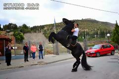 11η Ιππική συνάντηση “Διομήδεια στο Άργος