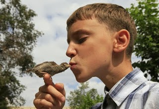 Τρυφερή φιλία ενός αγοριού με ένα άγριο σπουργίτι! - Φωτογραφία 1