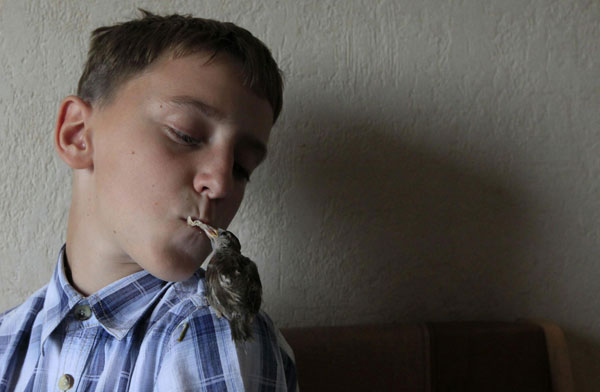 Τρυφερή φιλία ενός αγοριού με ένα άγριο σπουργίτι! - Φωτογραφία 6