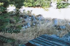 Σύνδεσμος Προστασίας Περιβάλλοντος Πειραιά