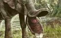 Οι ελέφαντες με τις προβοσκίδες-ράμφη