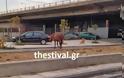 Άλογο... έκοβε βόλτες στους δρόμους της Θεσσαλονίκης