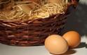 Τα αυγά και ο «μύθος» της αυξημένης χοληστερίνης