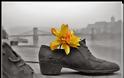 Τα παπούτσια του Δούναβη – Το πιο συγκινητικό μνημείο στην μνήμη όσων έχασαν τη ζωή τους από τους Ναζί - Φωτογραφία 4