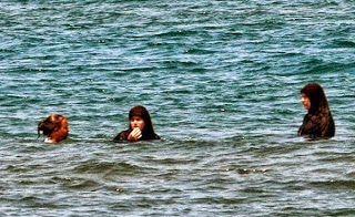 Πώς πηγαίνουν στη θάλασσα οι μουσουλμάνες;;; - Φωτογραφία 1