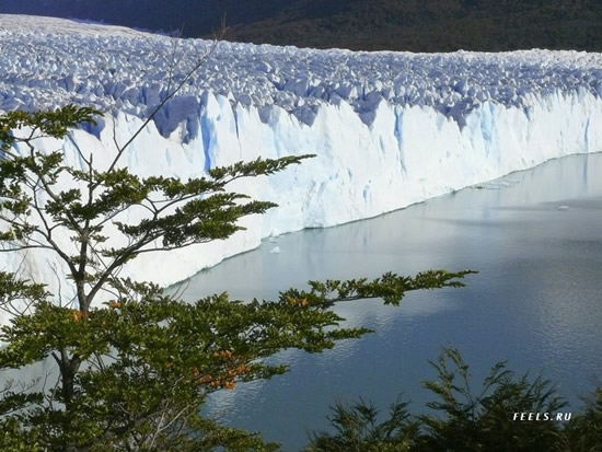 Ο εντυπωσιακός παγετώνας Perito Moreno - Φωτογραφία 4