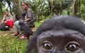 Οι πίθηκοι παρηγορούν ο ένας τον άλλον… ανθρώπινα (video)