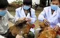Νέο κρούσμα γρίπης των πτηνών στην Κίνα
