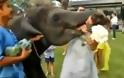 Δεν υπάρχει: Ελέφαντας «μπούκαρε» σε γαμήλια τελετή και φίλησε παράνυμφο! [video]