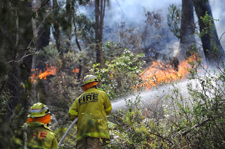 Μεγάλες υλικές ζημιές από τις δασικές πυρκαγιές που μαίνονται κοντά στο Σίνδεϊ - Φωτογραφία 1