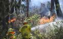Μεγάλες υλικές ζημιές από τις δασικές πυρκαγιές που μαίνονται κοντά στο Σίνδεϊ