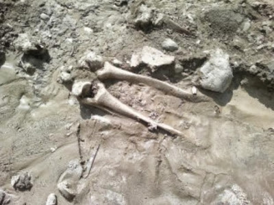Πάτρα: Βρέθηκαν ανθρώπινα οστά κατα τις εργασίες στην Κανακάρη! - Φωτογραφία 2