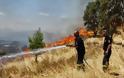 Κρήτη: Φωτιά κοντά σε χωριό στον Αποκόρωνα σε απόσταση αναπνοής από περιουσίες και επιχειρήσεις
