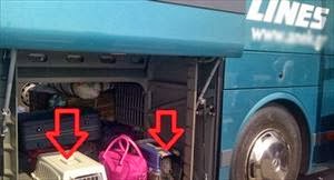 Συνελήφθη ο οδηγός του ΚΤΕΛ που αρνήθηκε να επιβιβάσει ζώο στο λεωφορείο - Φωτογραφία 1