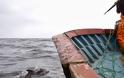 Η σφαγή των δελφινιών: Φωτογραφίες που σοκάρουν