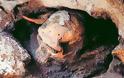 Ανακαλύφθηκε κρανίο ηλικίας 1,8 εκατ. ετών στη Γεωργία
