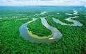 ΗΠΑ: Ο Αμαζόνιος έχει 390 δισεκ δέντρα
