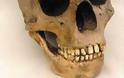 Κρανίο 1,8 εκατ. ετών (ξε)μπερδεύει την ιστορία της ανθρώπινης εξέλιξης