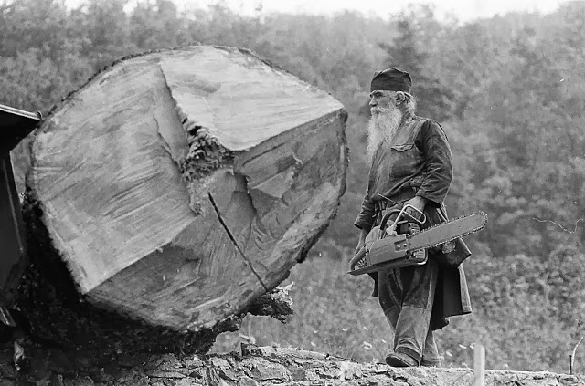 3733 - Το Άγιον Όρος μέσα από τον φακό του π. Γαβριήλ Φολοθεΐτη - Φωτογραφία 2