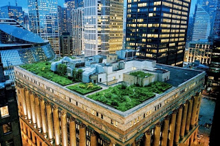 Η εκπληκτική πράσινη στέγη του Δημαρχείου στο Σικάγο! - Φωτογραφία 1