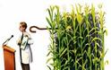 Monsanto: Η βιοτεχνολογία σε λάθος χέρια - Φωτογραφία 6