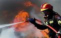 Φωτιά έκαψε 260 ελαιόδεντρα, θάμνους και πλατάνια στο Τσιγκέλι Αλμυρού