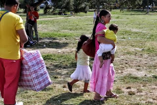 Ρόδος: Αλβανίδα Ρομά νάρκωνε κουτάβια για να ζητιανεύουν τα παιδιά της - Φωτογραφία 1