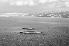 Ελληνική σιγή ιχθύος για την αμφισβήτηση των χωρικών υδάτων της Καλύμνου!