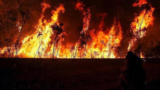 Συνεχίζει το καταστροφικό της έργο η φωτιά στην Αυστραλία - Φωτογραφία 1