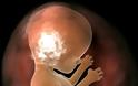 Αναγνώστης ενημερώνει για δράση κατά των πειραμάτων σε έμβρυα