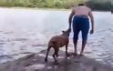 Αληθινή αγάπη: Σκύλος «σώζει» το αφεντικό του που πέφτει στη θάλασσα! [video]