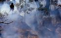 Στρατιωτική άσκηση ίσως ευθύνεται για την πύρινη λαίλαπα στην Αυστραλία [Photos] - Φωτογραφία 11