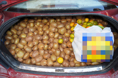 Δεν φαντάζεστε τι έκλεψαν δυο Αλβανοί στην Άρτα - Φωτογραφία 2