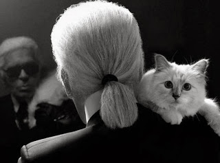 Η γάτα του Κarl Lagerfeld έχει πια τη δική της συλλογή - Φωτογραφία 1