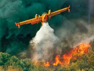 Φθιώτιδα: Μεγάλη πυρκαγιά σε εξέλιξη στο Καλλίδρομο πάνω από τα Καμένα Βούρλα - Φωτογραφία 1
