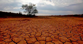 Νιγηρία: 35 μετανάστες πέθαναν από δίψα στην έρημο - Φωτογραφία 1