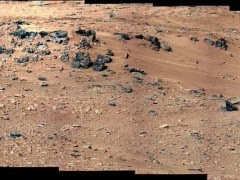 Παρατηρήστε καλά το βίντεο! Θα σας αφήσει ΑΦΩΝΟΥΣ – Αυτό βρέθηκε στην επιφάνεια του Άρη! - Φωτογραφία 1
